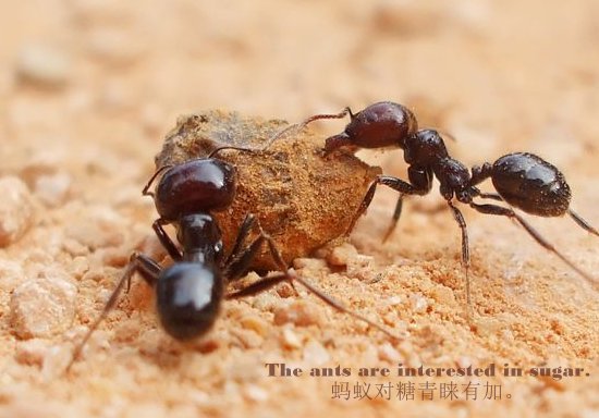 be interesting in 和be interested in 的区别及用法