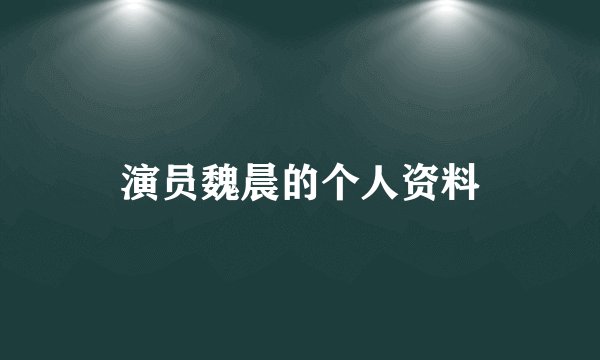 演员魏晨的个人资料