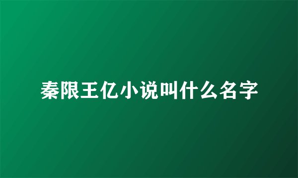 秦限王亿小说叫什么名字