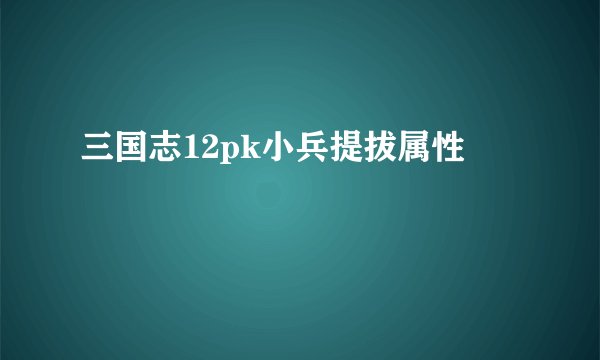 三国志12pk小兵提拔属性