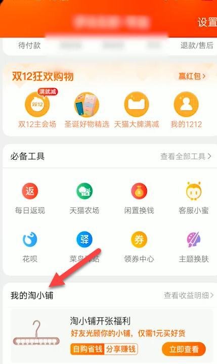 淘小铺怎么赚钱