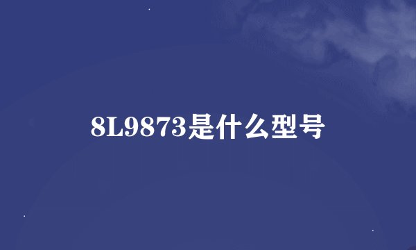 8L9873是什么型号