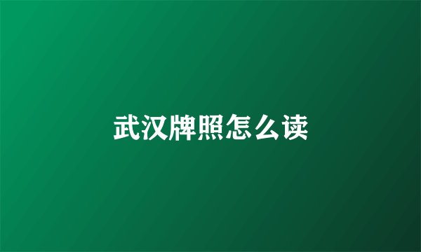 武汉牌照怎么读