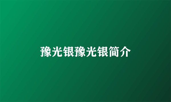 豫光银豫光银简介