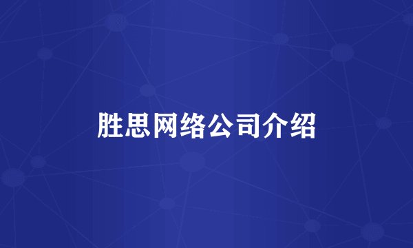 胜思网络公司介绍