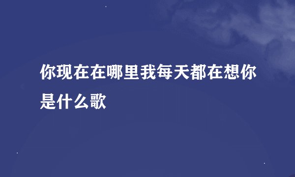 你现在在哪里我每天都在想你是什么歌