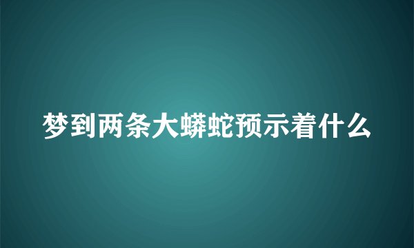 梦到两条大蟒蛇预示着什么