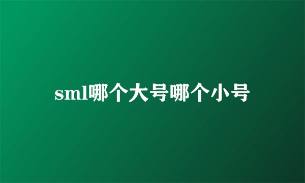 sml哪个大号哪个小号