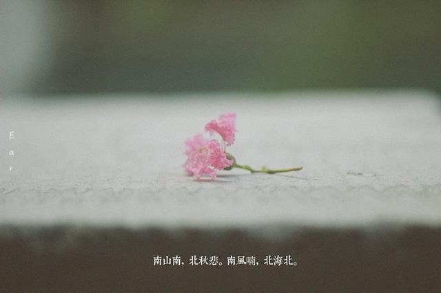 南山南的故事是什么?