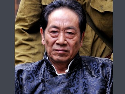 杀狼花电视剧全部演员表