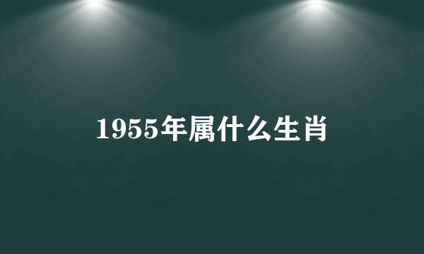 1955年属什么生肖