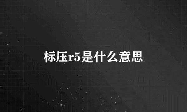 标压r5是什么意思