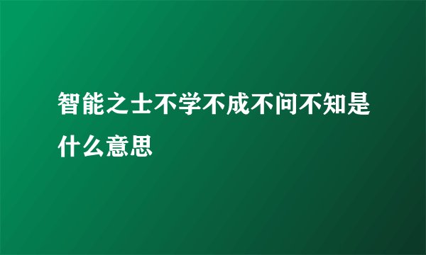 智能之士不学不成不问不知是什么意思