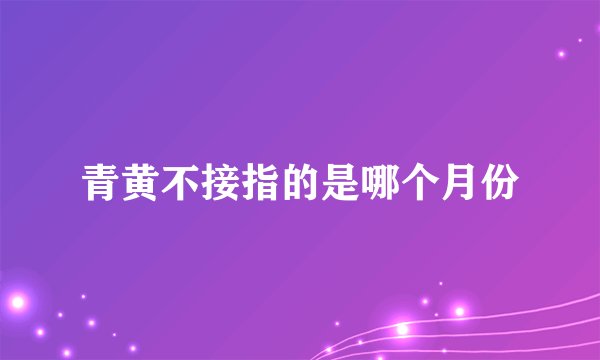 青黄不接指的是哪个月份