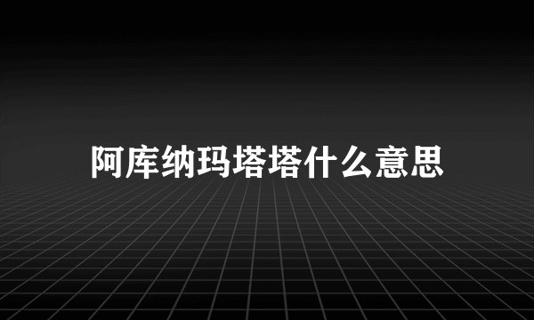 阿库纳玛塔塔什么意思