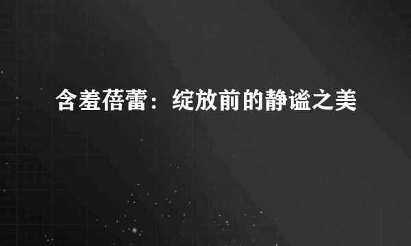 含羞蓓蕾：绽放前的静谧之美