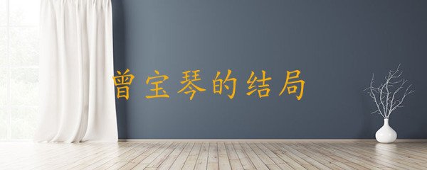 曾宝琴的结局