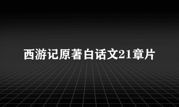 西游记原著白话文21章片