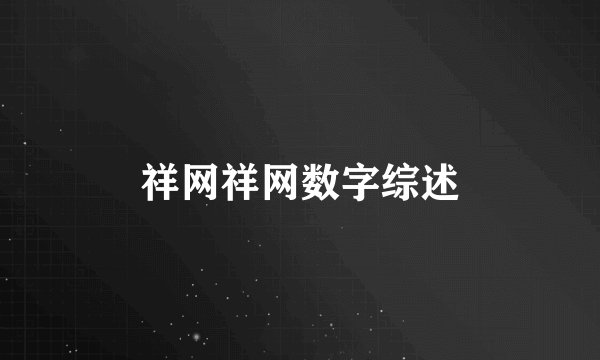 祥网祥网数字综述