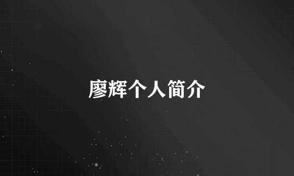 廖辉个人简介