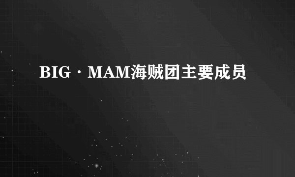 BIG·MAM海贼团主要成员