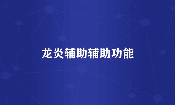 龙炎辅助辅助功能