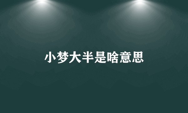 小梦大半是啥意思