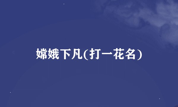 嫦娥下凡(打一花名)