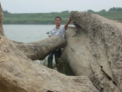 请问乌木甘在哪里有卖的？