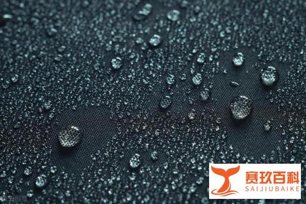 一文告诉您什么是涤塔夫面料？
