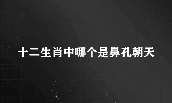 十二生肖中哪个是鼻孔朝天