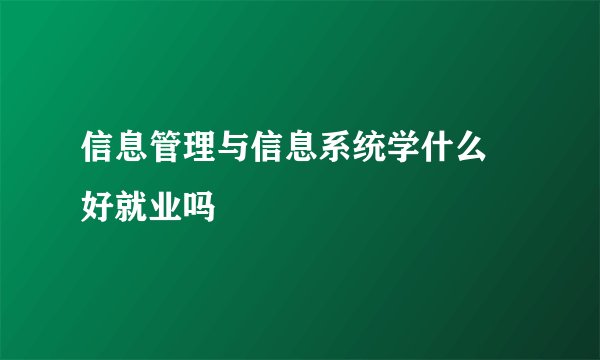 信息管理与信息系统学什么 好就业吗