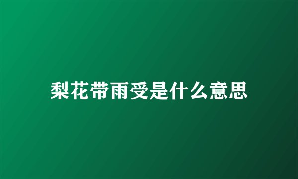 梨花带雨受是什么意思