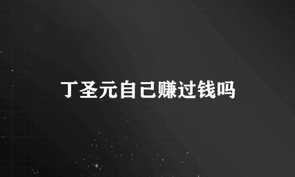 丁圣元自己赚过钱吗