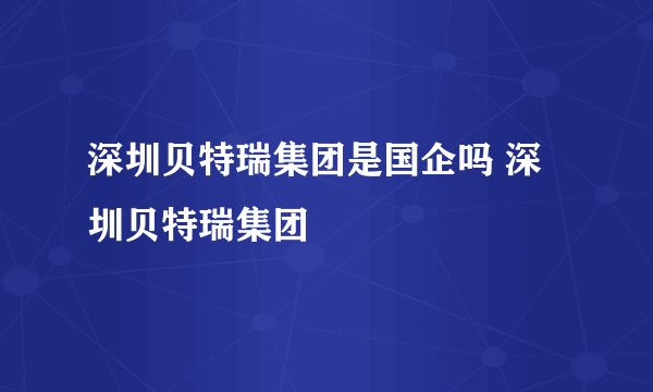 深圳贝特瑞集团是国企吗 深圳贝特瑞集团