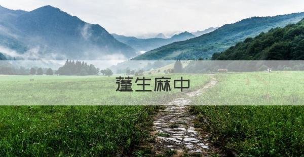 蓬生麻中不扶自直 不扶自直是什么意思