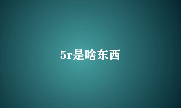 5r是啥东西