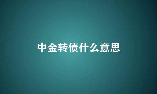中金转债什么意思