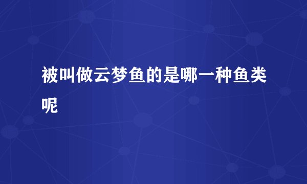 被叫做云梦鱼的是哪一种鱼类呢