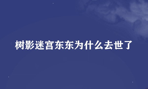 树影迷宫东东为什么去世了