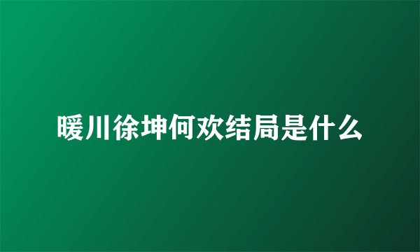 暖川徐坤何欢结局是什么