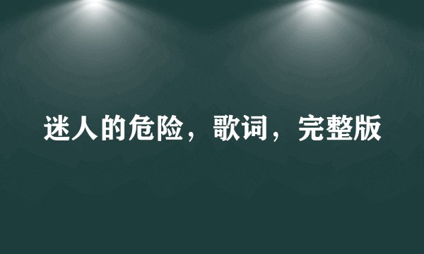 迷人的危险，歌词，完整版