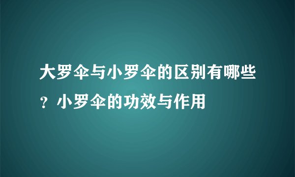 大罗伞与小罗伞的区别有哪些？小罗伞的功效与作用