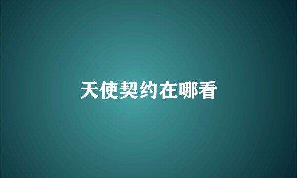 天使契约在哪看