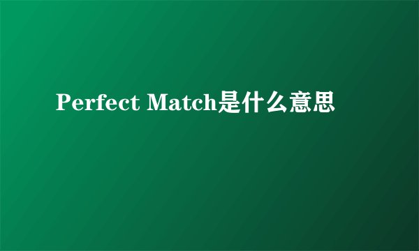 Perfect Match是什么意思