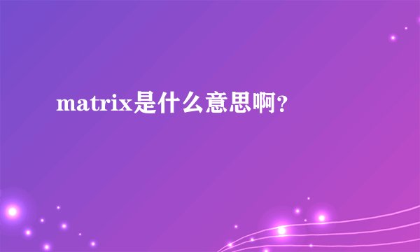 matrix是什么意思啊？