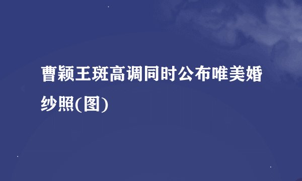 曹颖王斑高调同时公布唯美婚纱照(图)