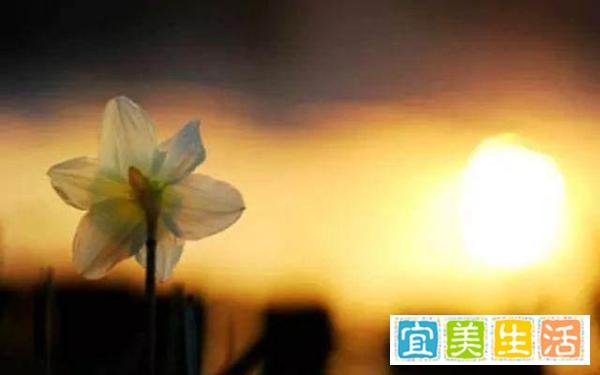 《庄子》：过分的偏执，后果很严重