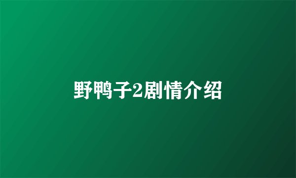 野鸭子2剧情介绍