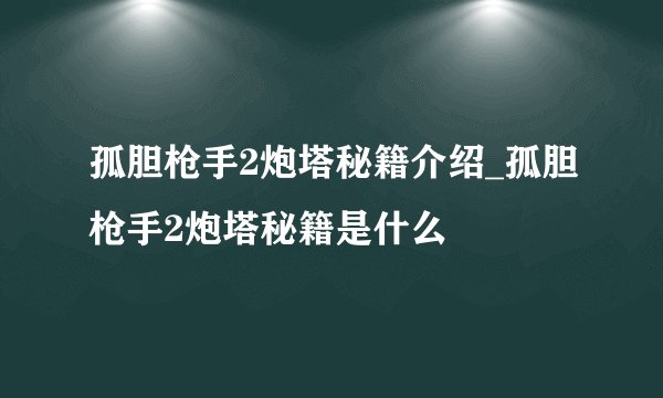 孤胆枪手2炮塔秘籍介绍_孤胆枪手2炮塔秘籍是什么